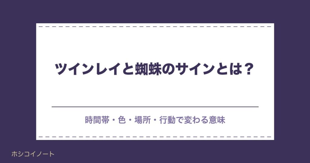 ツインレイと蜘蛛のサインとは？色や場所で変わる意味や予兆も