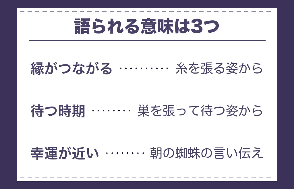 ツインレイと蜘蛛のサインとして語られる意味